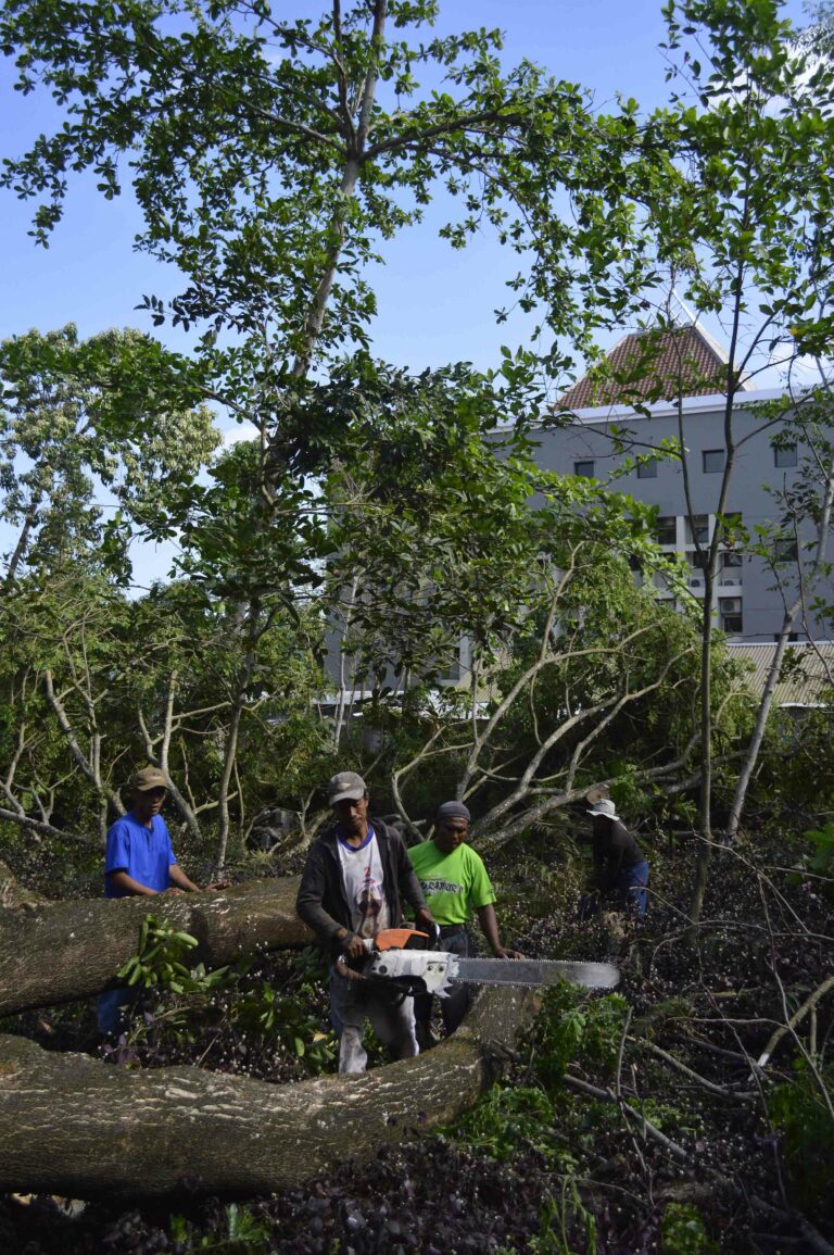 Green Matric Jadi Tolok Ukur Green Campus