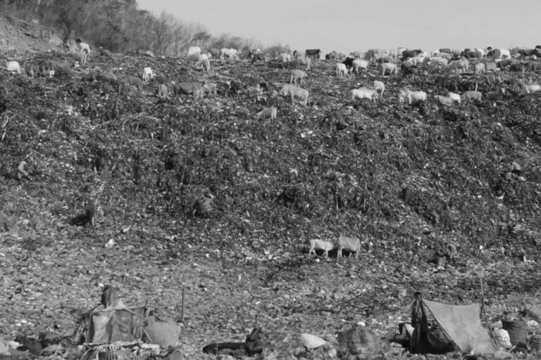 Sampah, Awal Rezeki Mereka